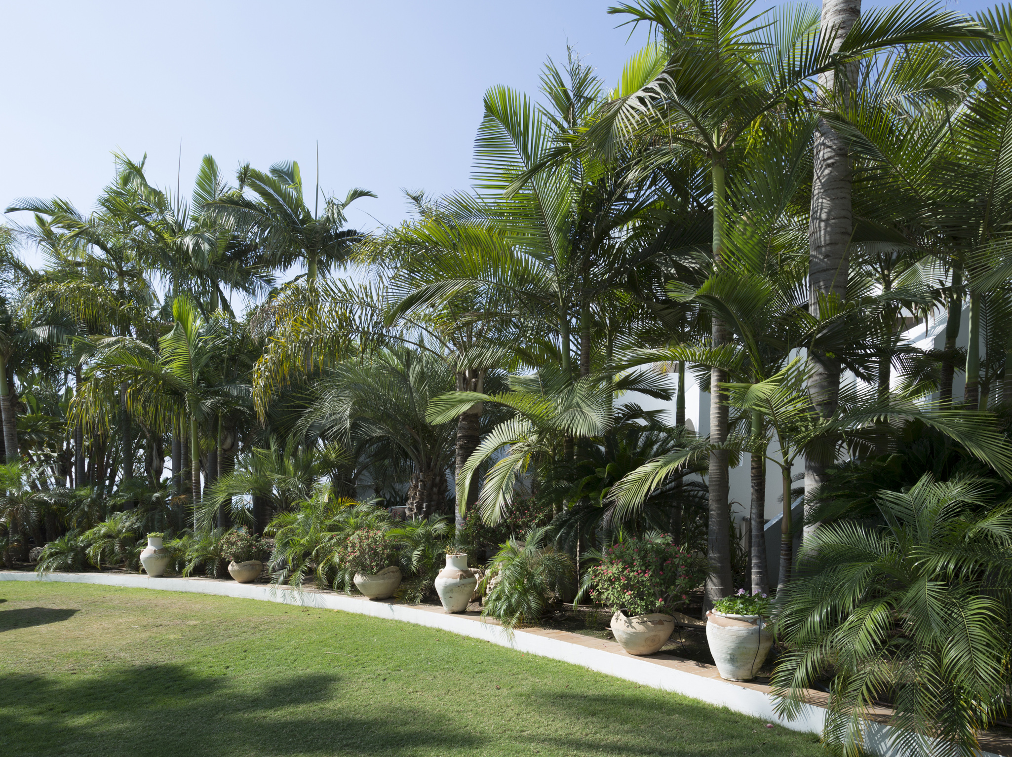 חוף גיא. איך להגיע. צילום איציק ברוך.