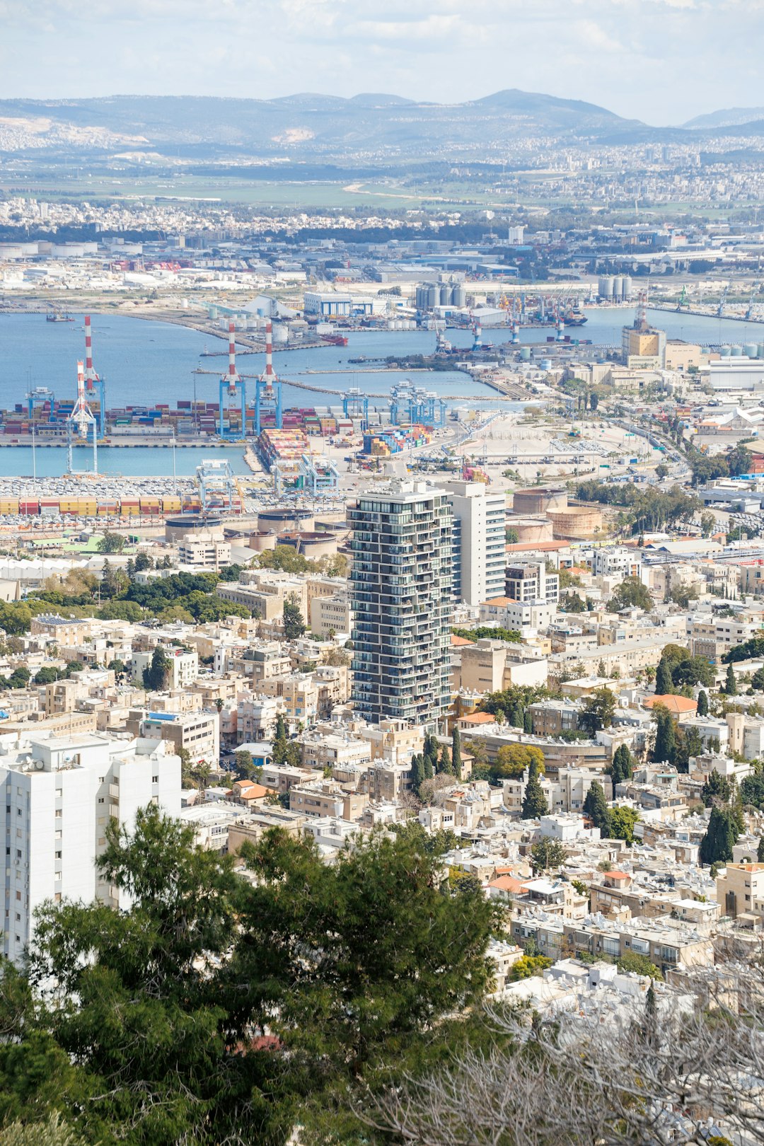 מאיר דוידי מוביל שילוב בין פרויקטי יוקרה לפתרונות דיור נגישים