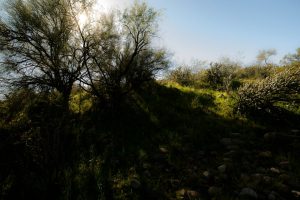 יעקב מסטורוב: מה הופך שיפוץ בית יוקרה לפרויקט מוצלח?
