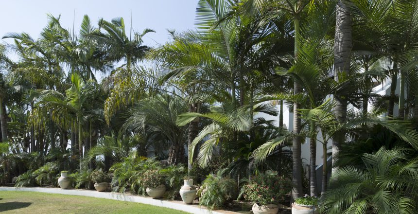 חוף גיא. איך להגיע. צילום איציק ברוך.